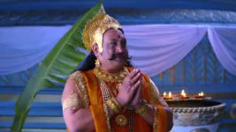 Radha krishna (Bengali) S01E339 Krishna Puts a Condition Full Episode