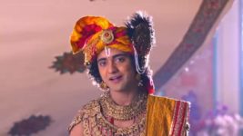 Radha krishna (Bengali) S01E493 Anirudha, Usha's Tilak Ritual Full Episode