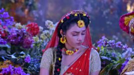 Radha krishna (Bengali) S01E704 Radha Learns About Jara Full Episode