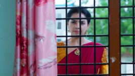 Ammayi Garu S01 E541 22nd July 2024