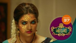 Nandini Ka Pratishod S01 E37 26th July 2024