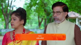 Ammayi Garu S01 E560 13th August 2024