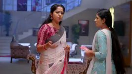 Paape Maa Jeevana Jyothi S01 E1014 Vishal Feels Apologetic