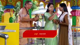 Paape Maa Jeevana Jyothi S01 E1027 Kutti Convinces the Residents