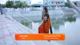 Sandakozhi S01 E434 7th August 2024