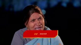 Paape Maa Jeevana Jyothi S01 E1058 Indumathi on Cloud Nine