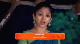 Ninaithale Inikkum S01 E1070 29th October 2024