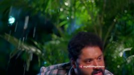 Paape Maa Jeevana Jyothi S01 E1076 Shashikanth Is Relieved