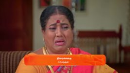 Anna (Tamil) S01 E526 20th November 2024