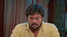 Anna (Tamil) S01 E527 21st November 2024