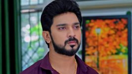 Annapoorna S01 E728 24th November 2024