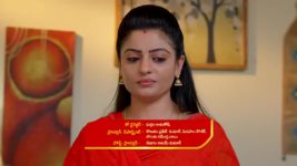 Gunde Ninda Gudi Gantalu S01 E295 Parvathi Gets Emotional