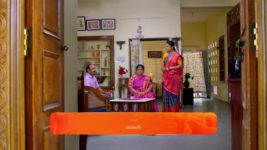 Janaki Ramayya Gari Manavaralu S01 E171 20th November 2024