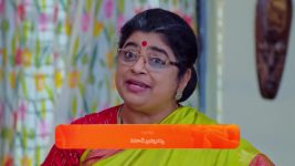 Janaki Ramayya Gari Manavaralu S01 E175 25th November 2024