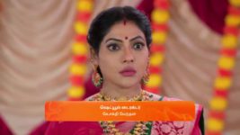 Karthigai Deepam S01 E663 14th November 2024