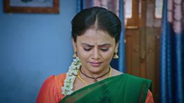 Lakshmi Nivasa S01 E405 25th November 2024