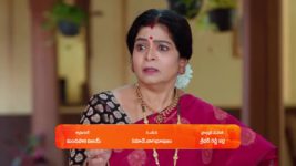 Maa Annaya (Zee Telugu) S01 E213 19th November 2024