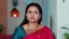 Maa Annaya (Zee Telugu) S01 E216 22nd November 2024