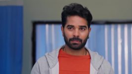 Meghasandesam (Zee Telugu) S01 E144 14th November 2024