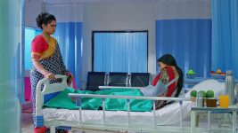 Meghasandesam (Zee Telugu) S01 E157 28th November 2024