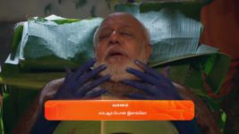 Ninaithale Inikkum S01 E1102 27th November 2024