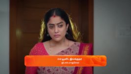 Ninaithen Vandhai (Zee Tamil) S01 E227 14th November 2024