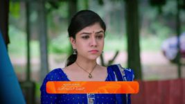 Puttakkana Makkalu S01 E814 23rd November 2024