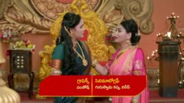 Renuka Yellamma (Star Maa) S01 E507 Parvathi Is Curious