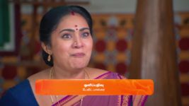 Sandhya Raagam (Tamil) S01 E373 18th November 2024