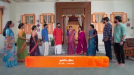 Sandhya Raagam (Tamil) S01 E375 20th November 2024