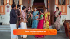 Sandhya Raagam (Tamil) S01 E377 22nd November 2024