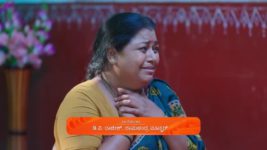 Shravani Subramanya S01 E172 13th November 2024