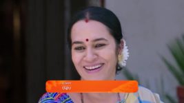 Shravani Subramanya S01 E173 14th November 2024