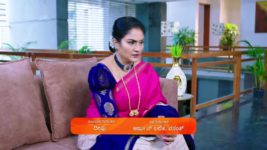 Shrirasthu Shubhamasthu S01 E589 23rd November 2024