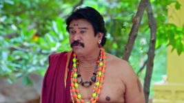 Trinayani (Kannada) S01 E1147 25th November 2024