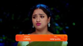 Trinayani (Telugu) S01 E1408 21st November 2024