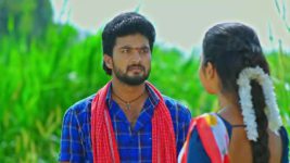 Maguva O Maguva S01 E239 Chamundi, Ravi Babu's Evil Plan