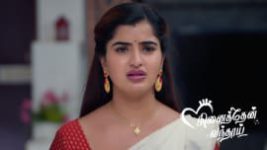 Ninaithen Vandhai (Zee Tamil) S01 E228 15th November 2024